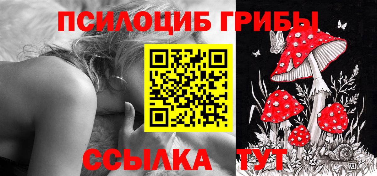 Галлюциногенные грибы ЛСД  Псилоцибиновые грибы Psilocybine cubensis  Вход с VPN  Зеленогорск 